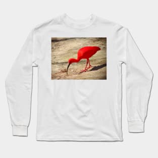 Scarlet Ibis Long Sleeve T-Shirt